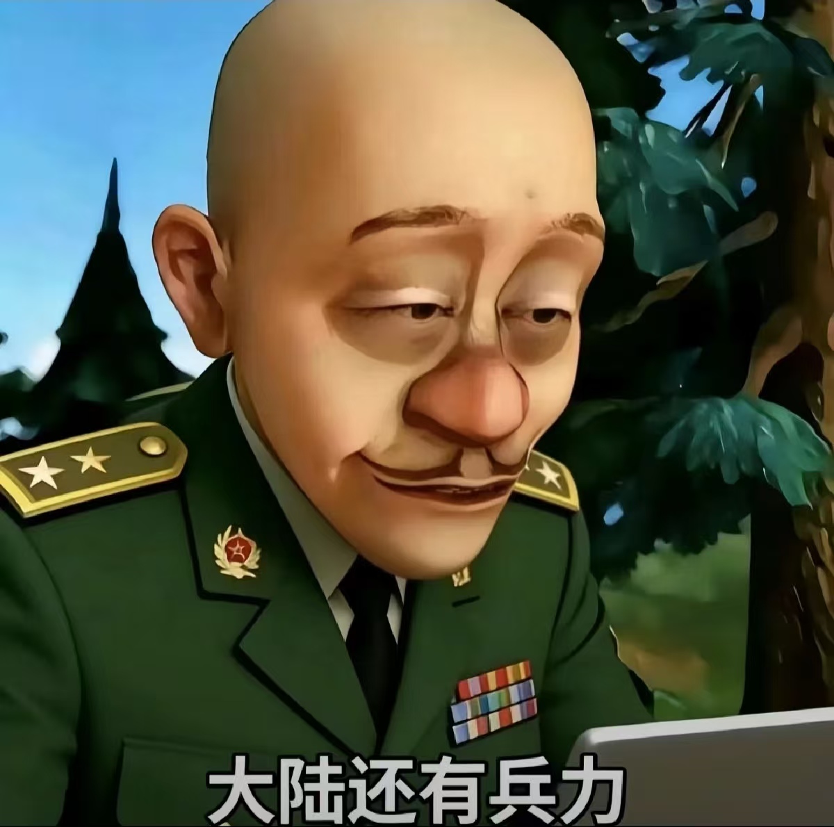照片 6